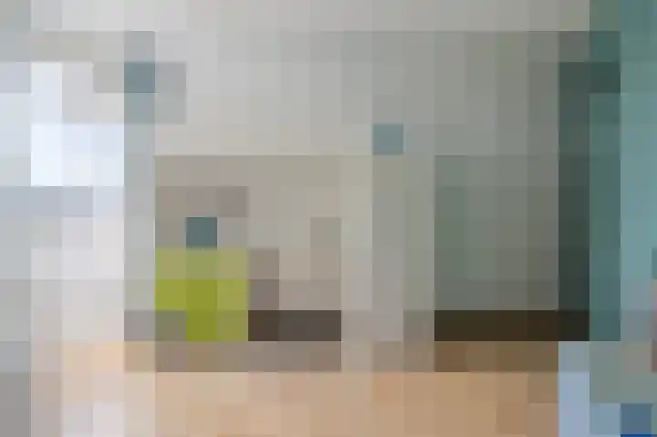 Jonkerbos 85 Zoetermeer thumbnail 16