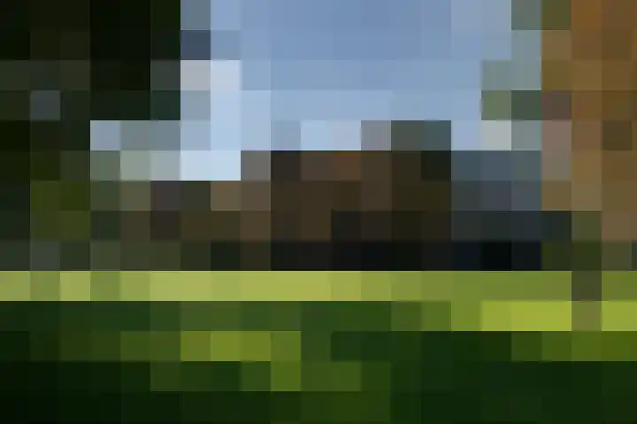 Jonkerbos 85 Zoetermeer thumbnail 22