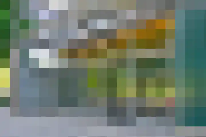 Jonkerbos 85 Zoetermeer thumbnail 6