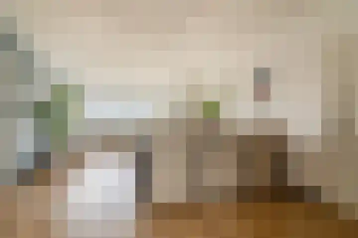 Jonkerbos 85 Zoetermeer thumbnail 8
