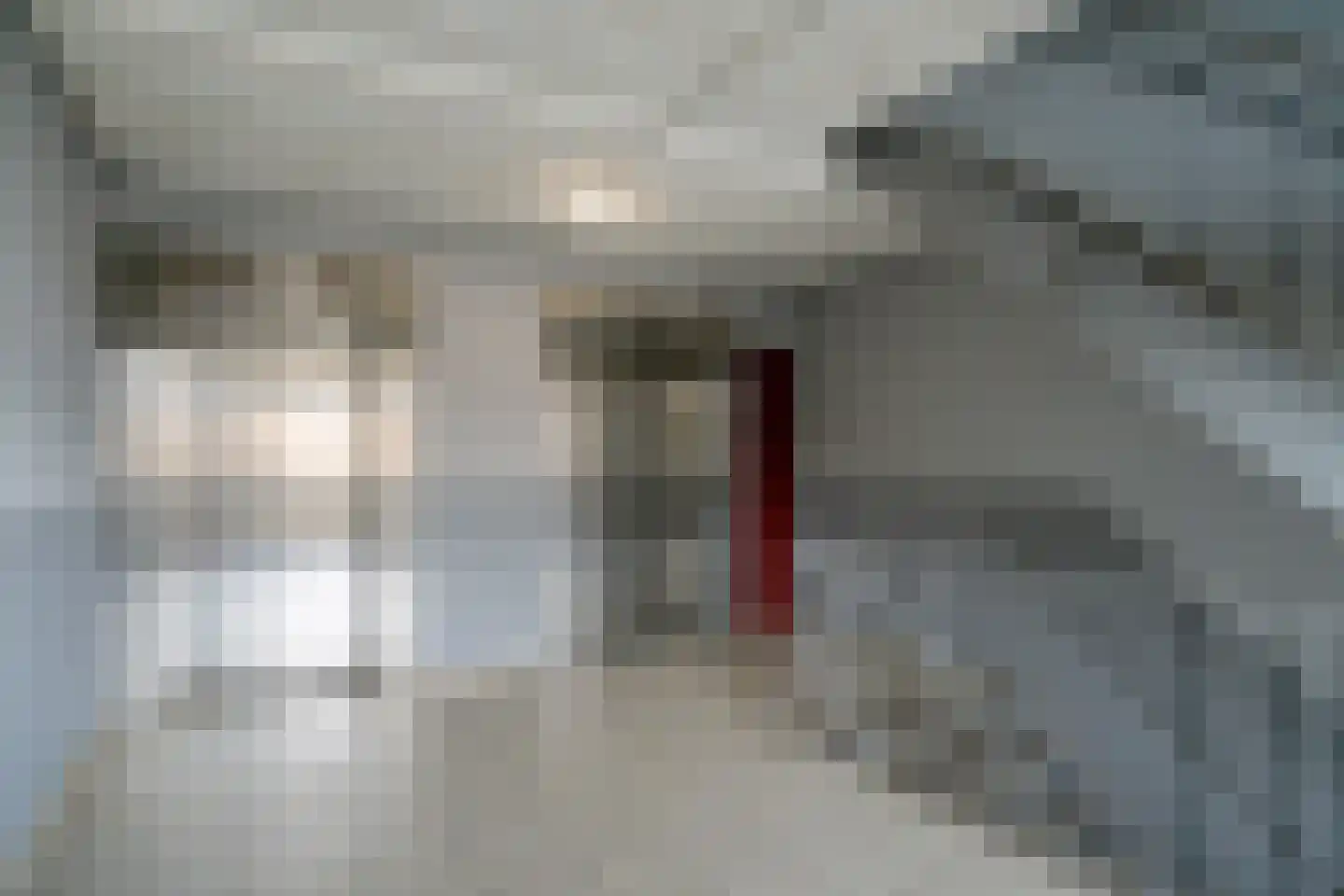 Jonkerbos 89 Zoetermeer thumbnail 14