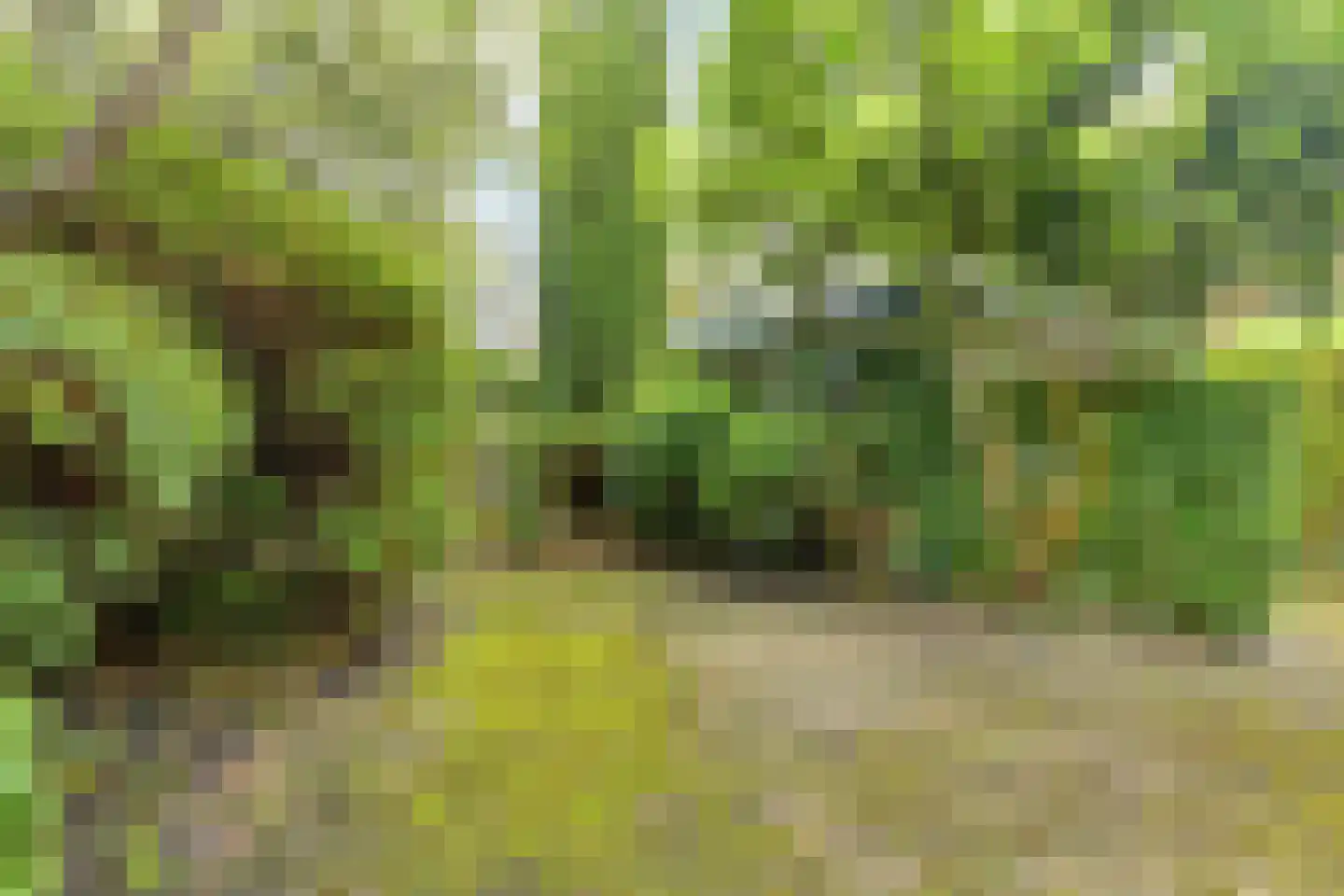 Jonkerlaan 23 Wassenaar thumbnail 21