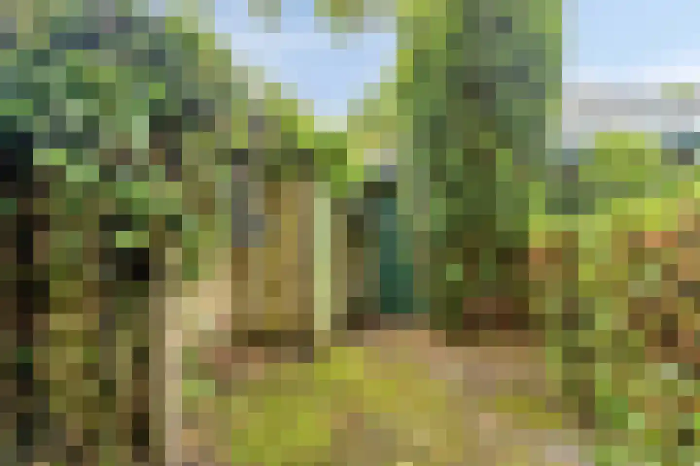 Jonkerlaan 23 Wassenaar thumbnail 22