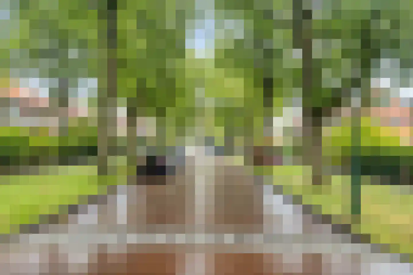 Jonkerlaan 23 Wassenaar thumbnail 48