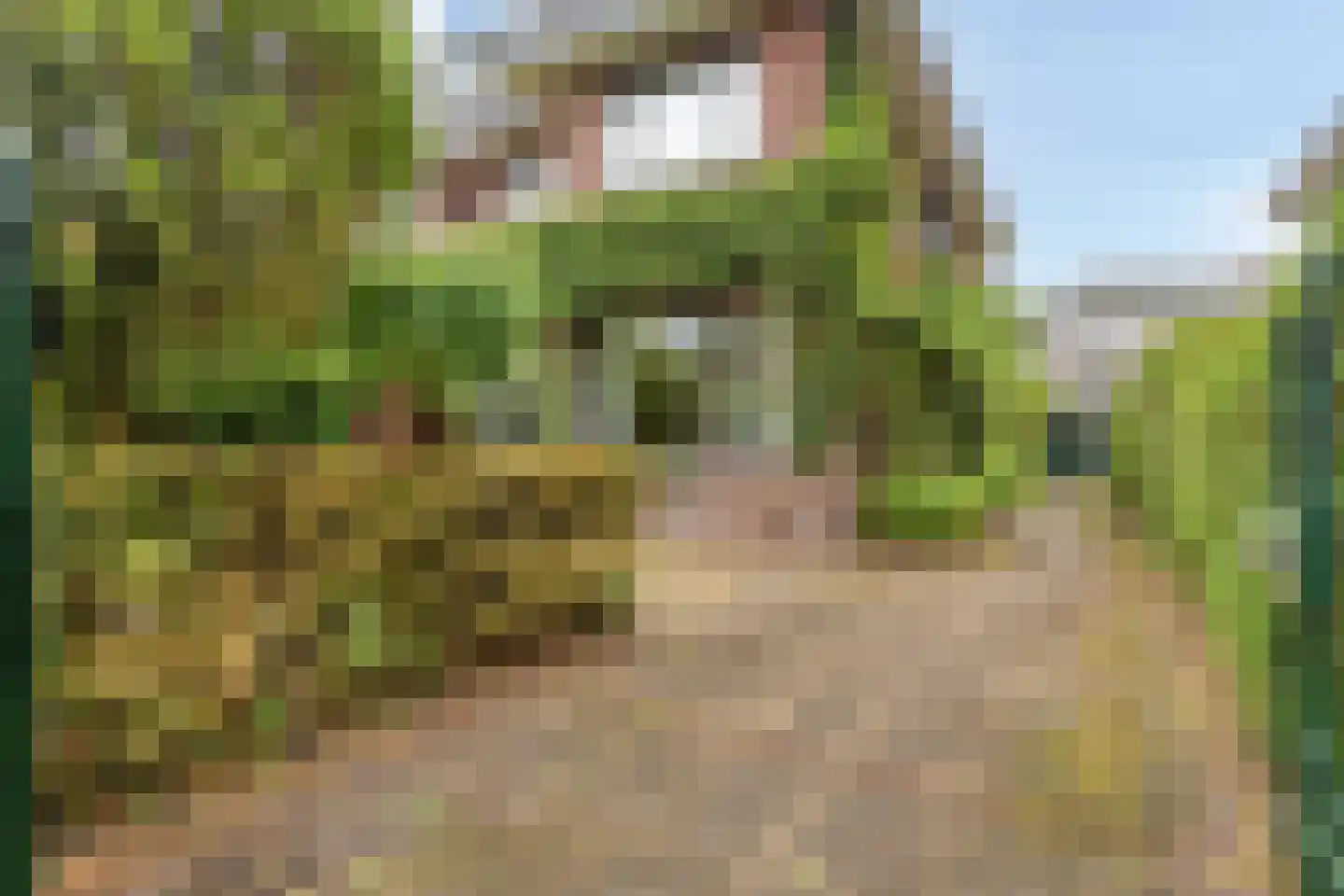 Jonkerlaan 23 Wassenaar thumbnail 8