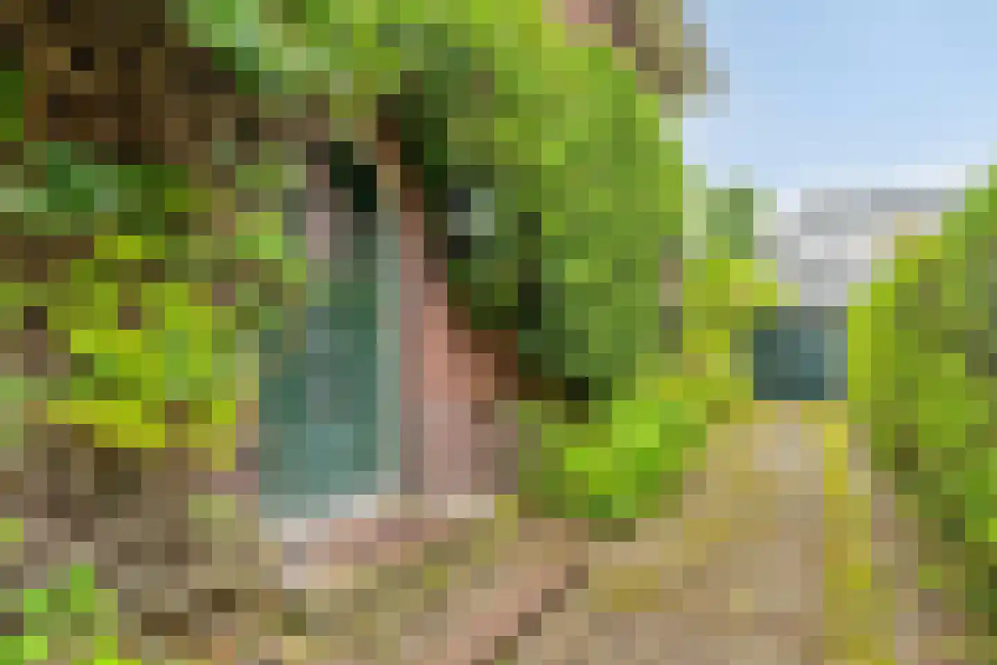 Jonkerlaan 23 Wassenaar thumbnail 9