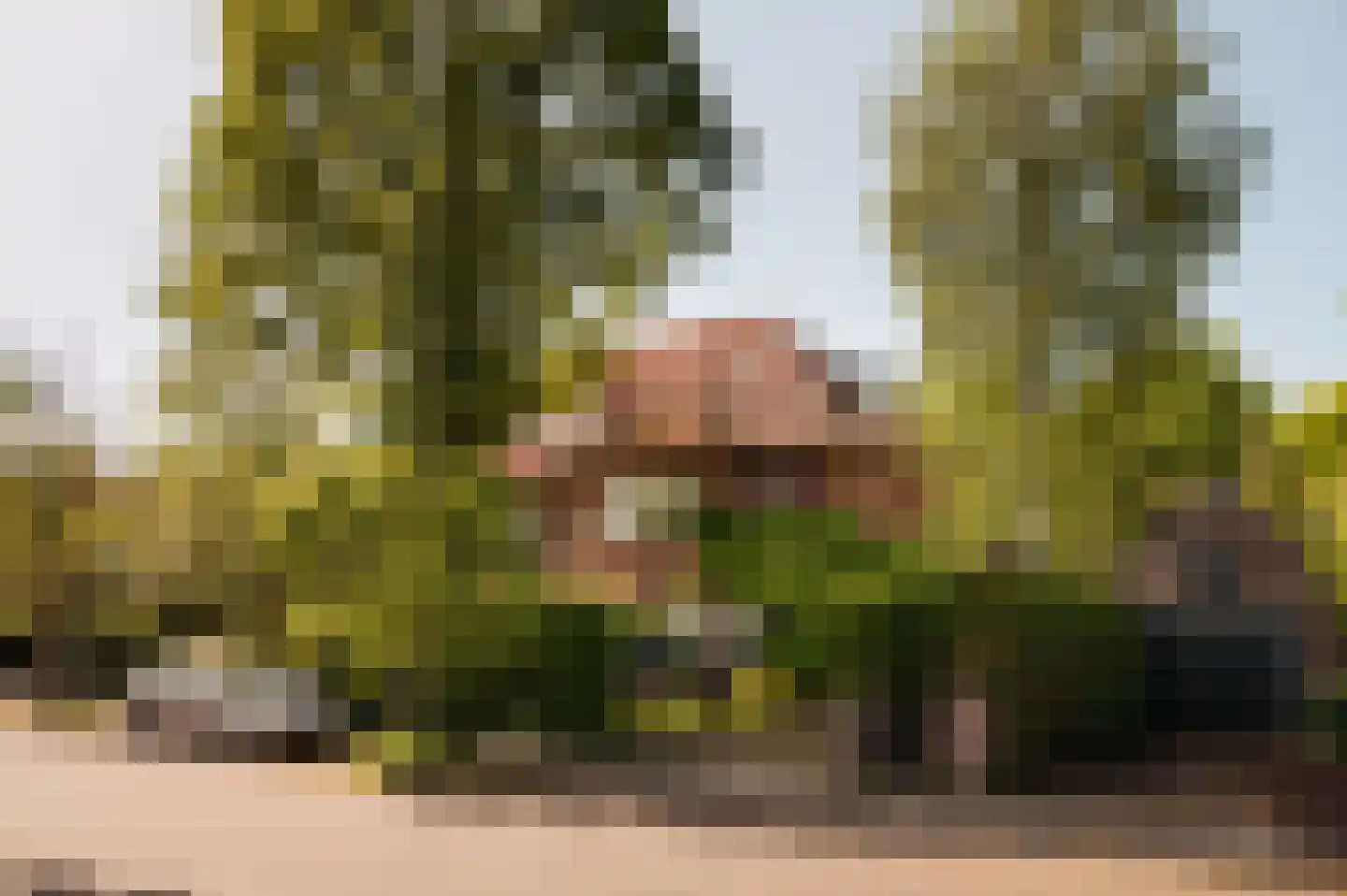 Jonkerlaan 26 Wassenaar
