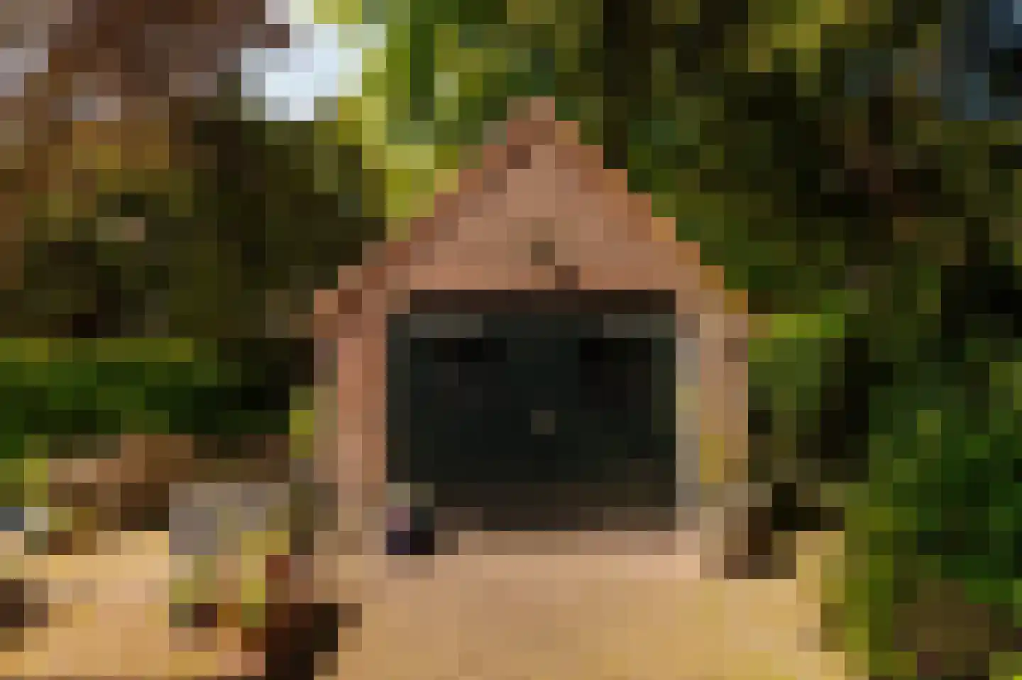 Jonkerlaan 26 Wassenaar thumbnail 16