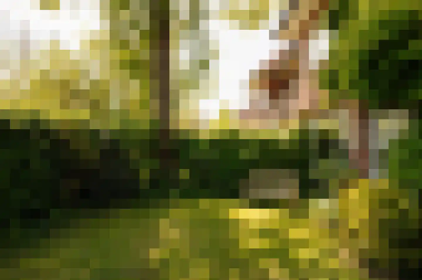 Jonkerlaan 26 Wassenaar thumbnail 18