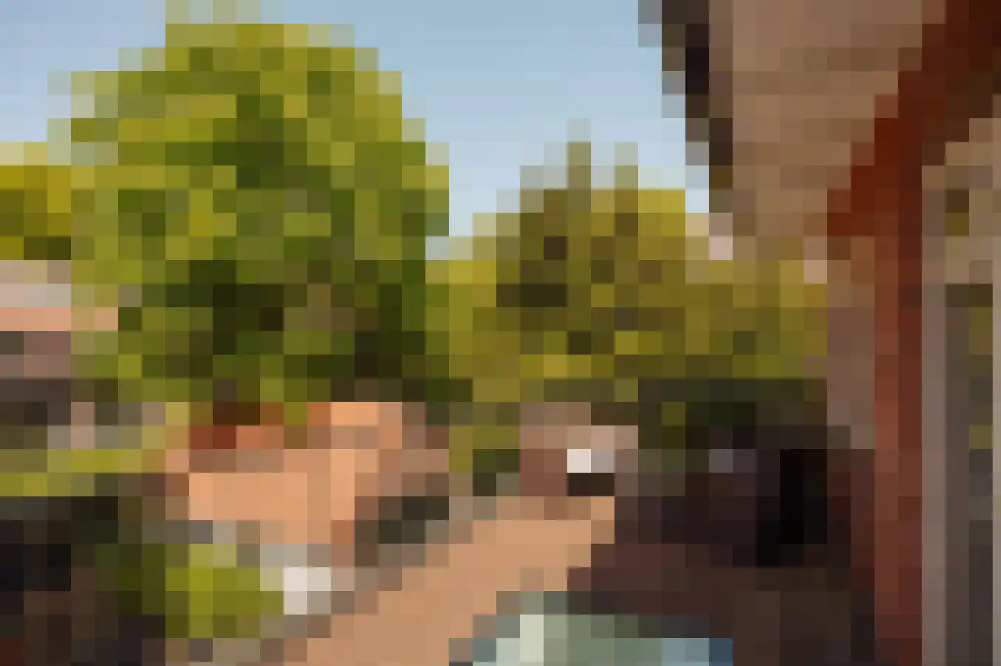 Jonkerlaan 26 Wassenaar thumbnail 26