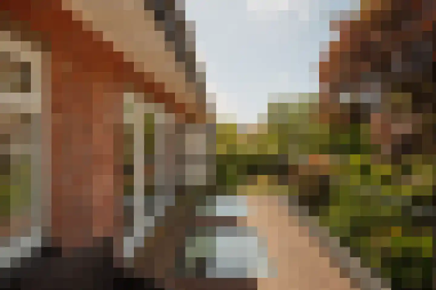 Jonkerlaan 26 Wassenaar thumbnail 27