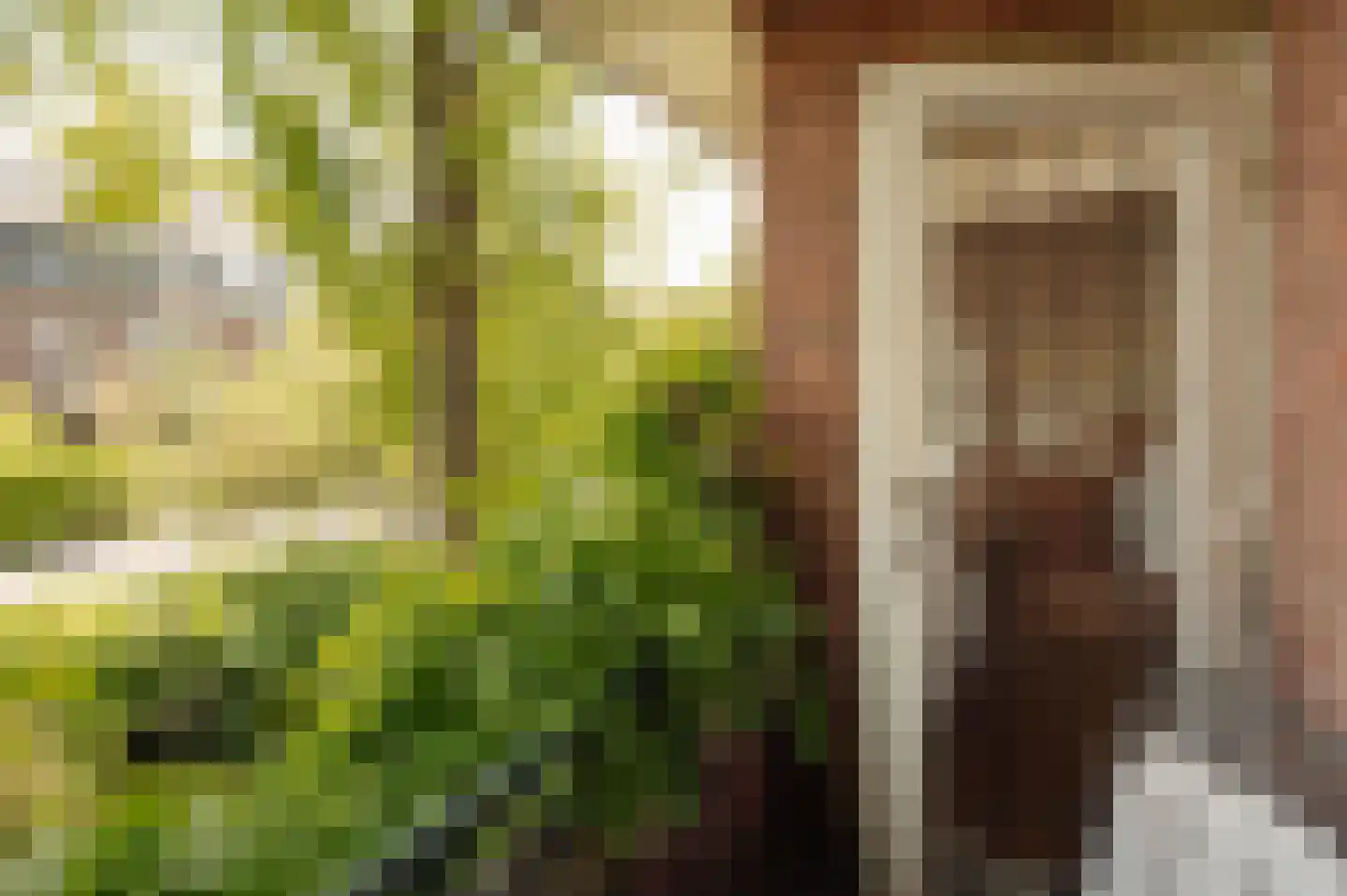 Jonkerlaan 26 Wassenaar thumbnail 32