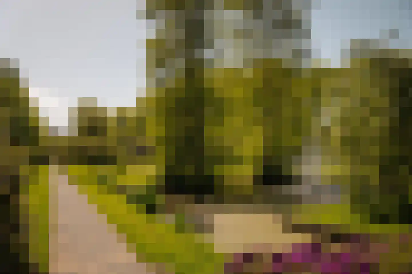 Jonkerlaan 26 Wassenaar thumbnail 39