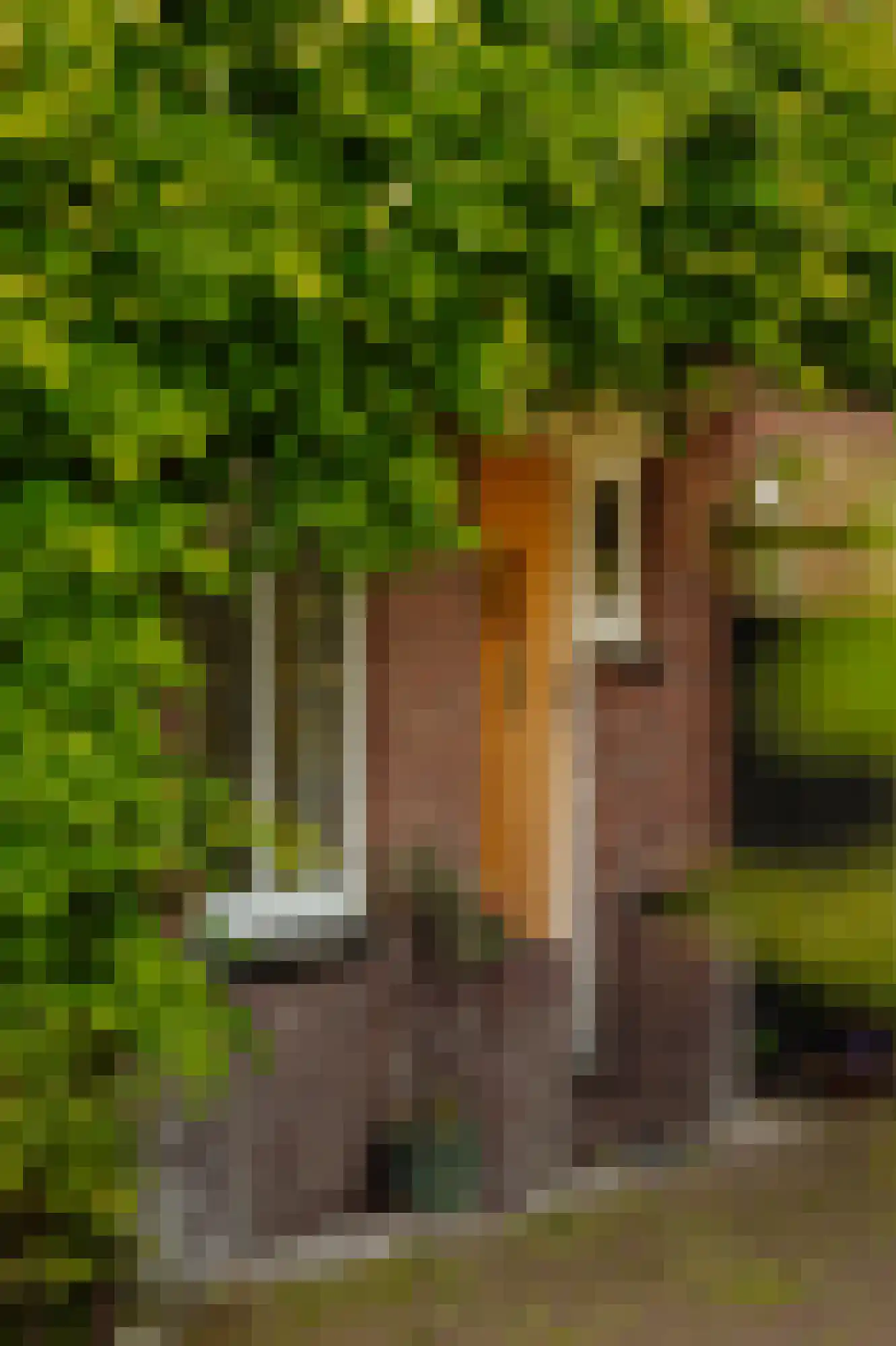 Jonkerlaan 26 Wassenaar thumbnail 4