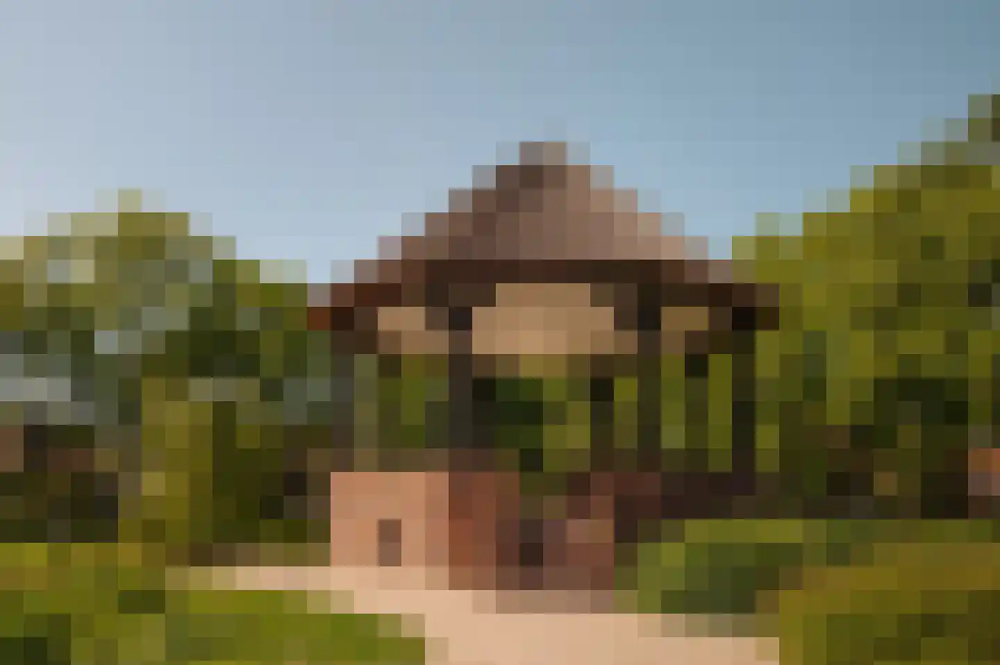 Jonkerlaan 26 Wassenaar thumbnail 40