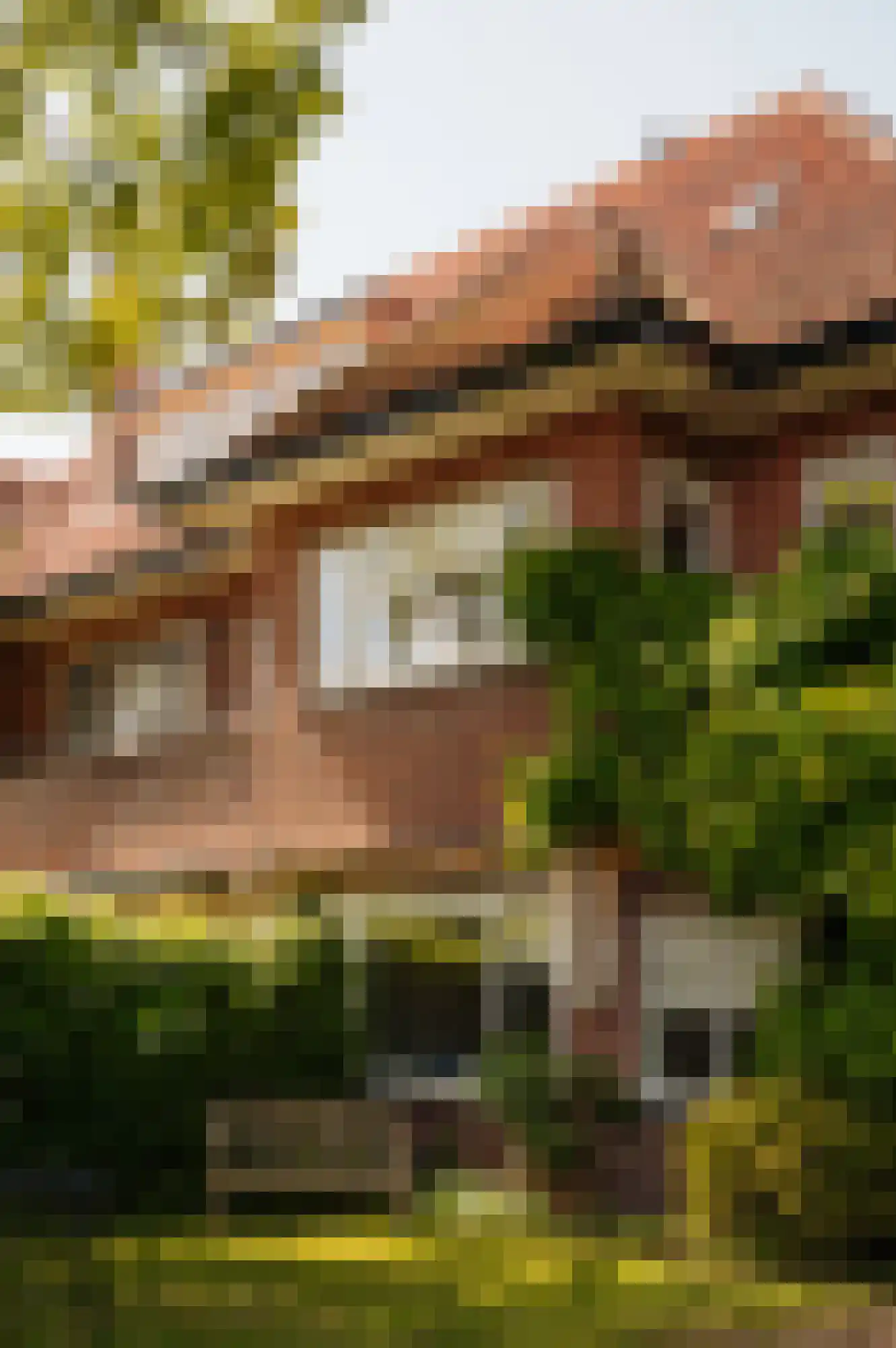 Jonkerlaan 26 Wassenaar thumbnail 5