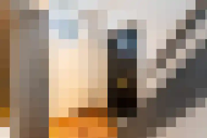 Jonkerlaan 34 Wassenaar thumbnail 27