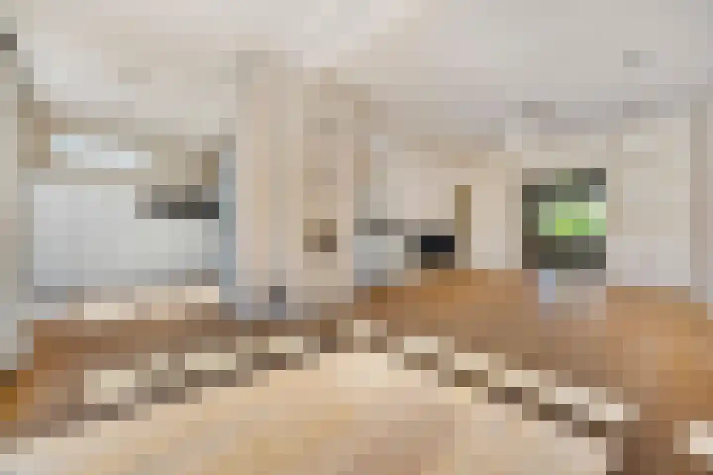 Jonkerlaan 51 Wassenaar thumbnail 10