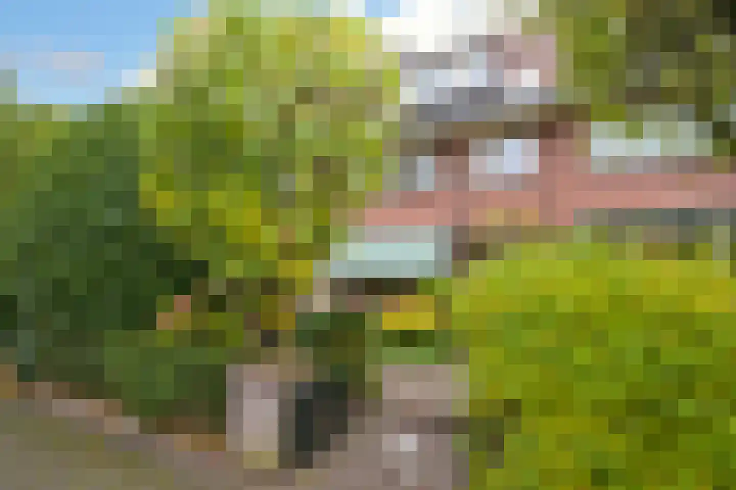 Jonkerlaan 58 in Wassenaar