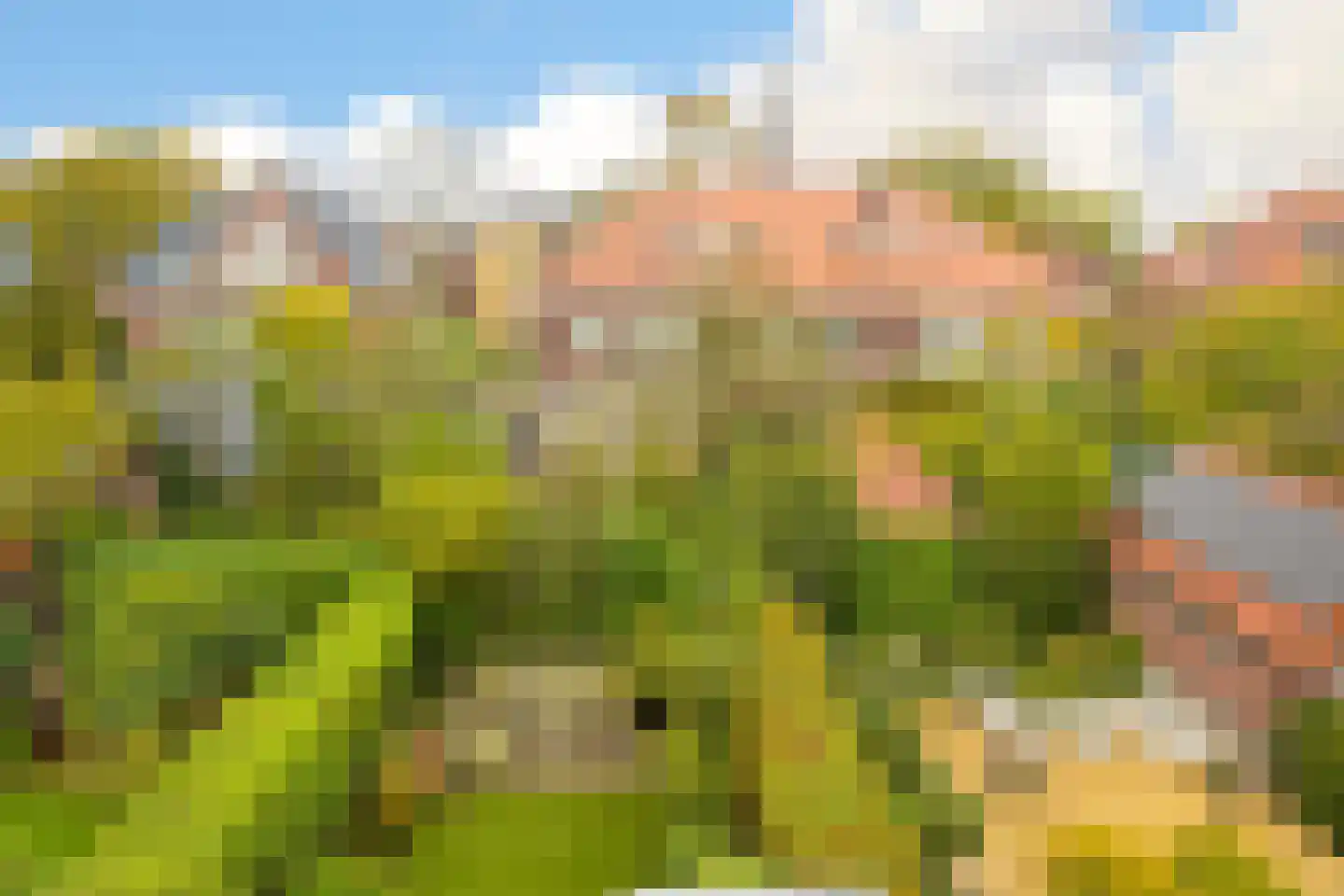 Jonkerlaan 58 Wassenaar thumbnail 53