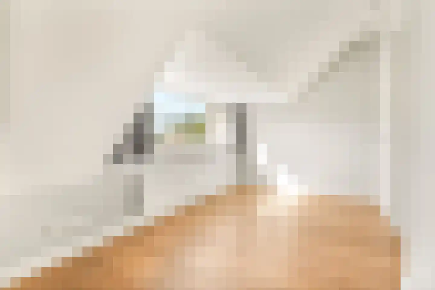 Jonkerlaan 7 Wassenaar thumbnail 27