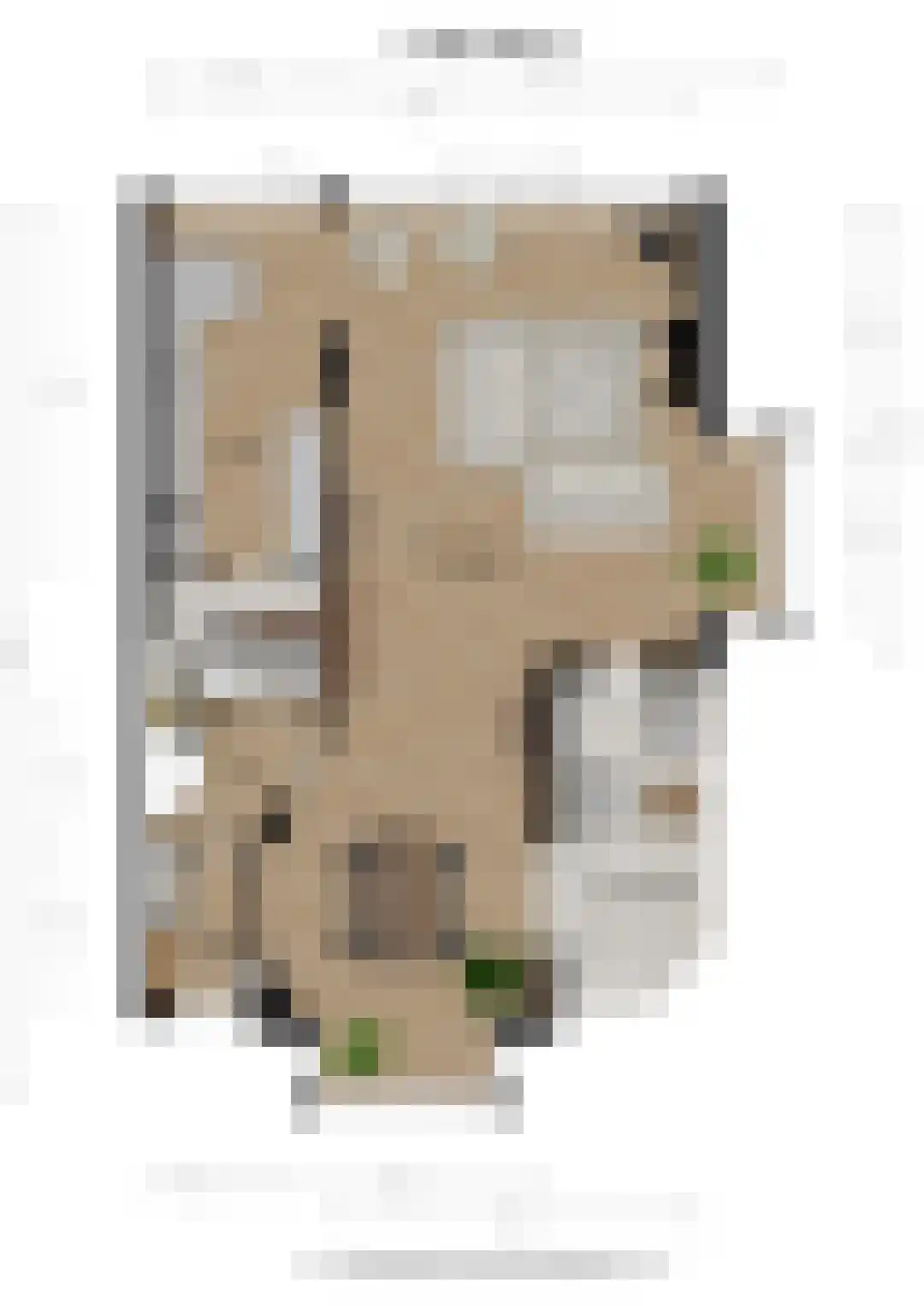 Jonkerlaan 7 Wassenaar thumbnail 36