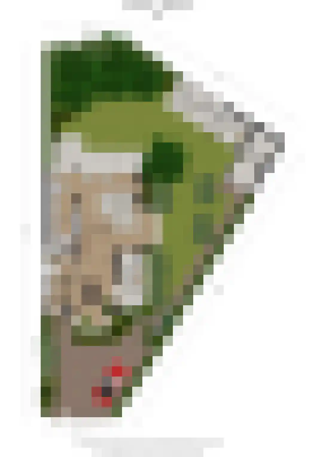 Jonkerlaan 7 Wassenaar thumbnail 40