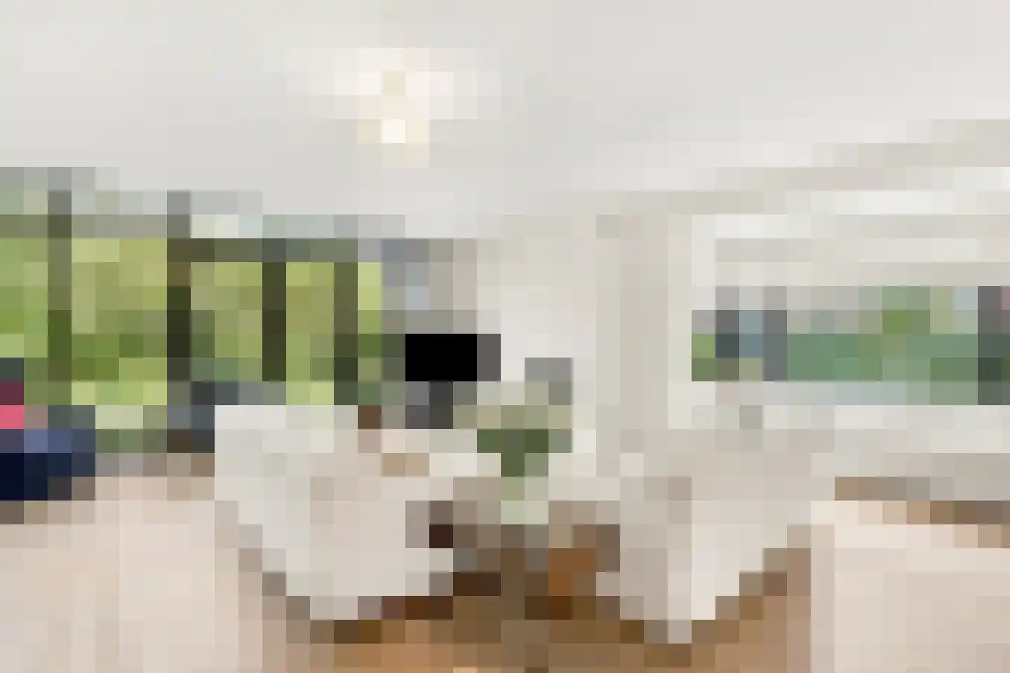 Jonkerlaan 7 Wassenaar thumbnail 6