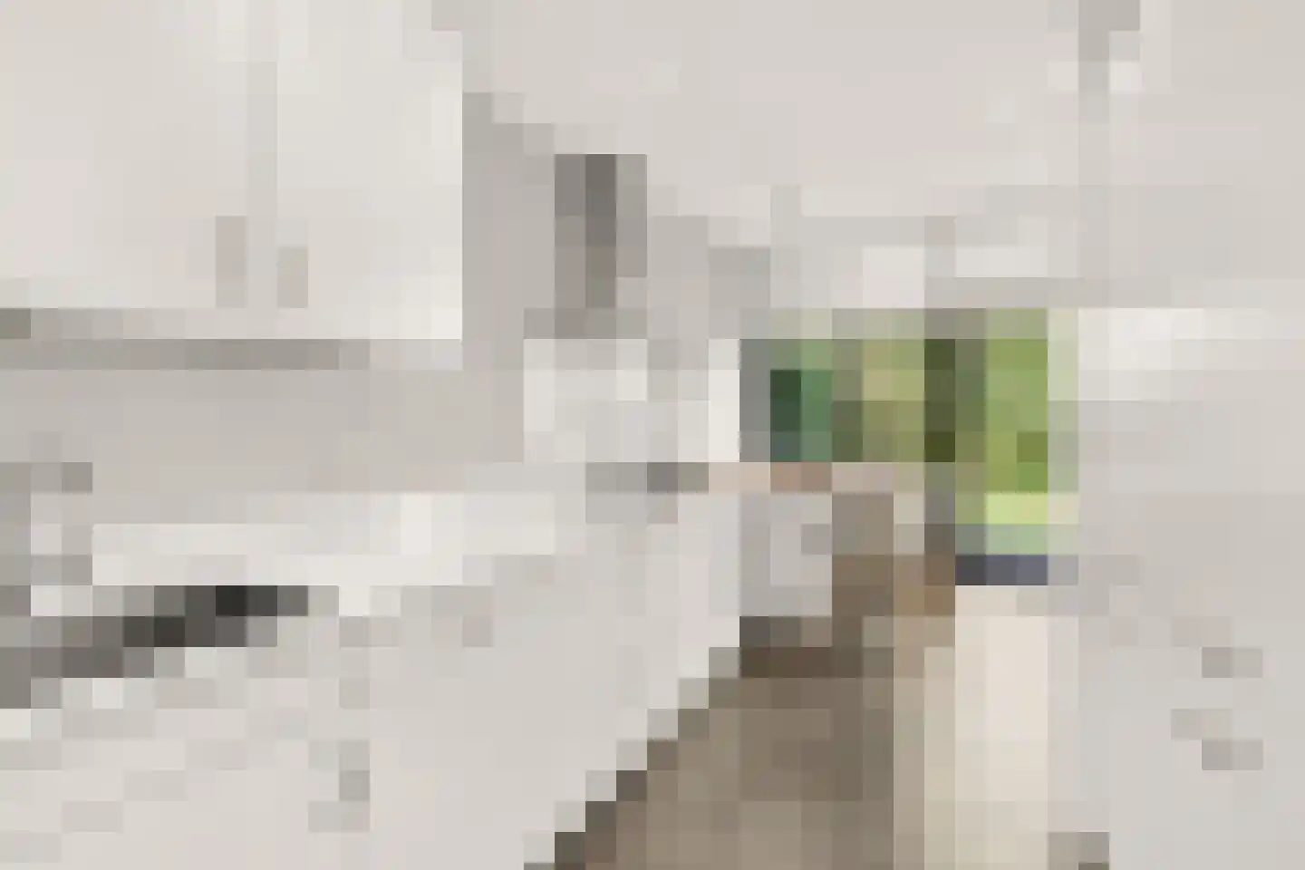 Jonkerlaan 7 Wassenaar thumbnail 8