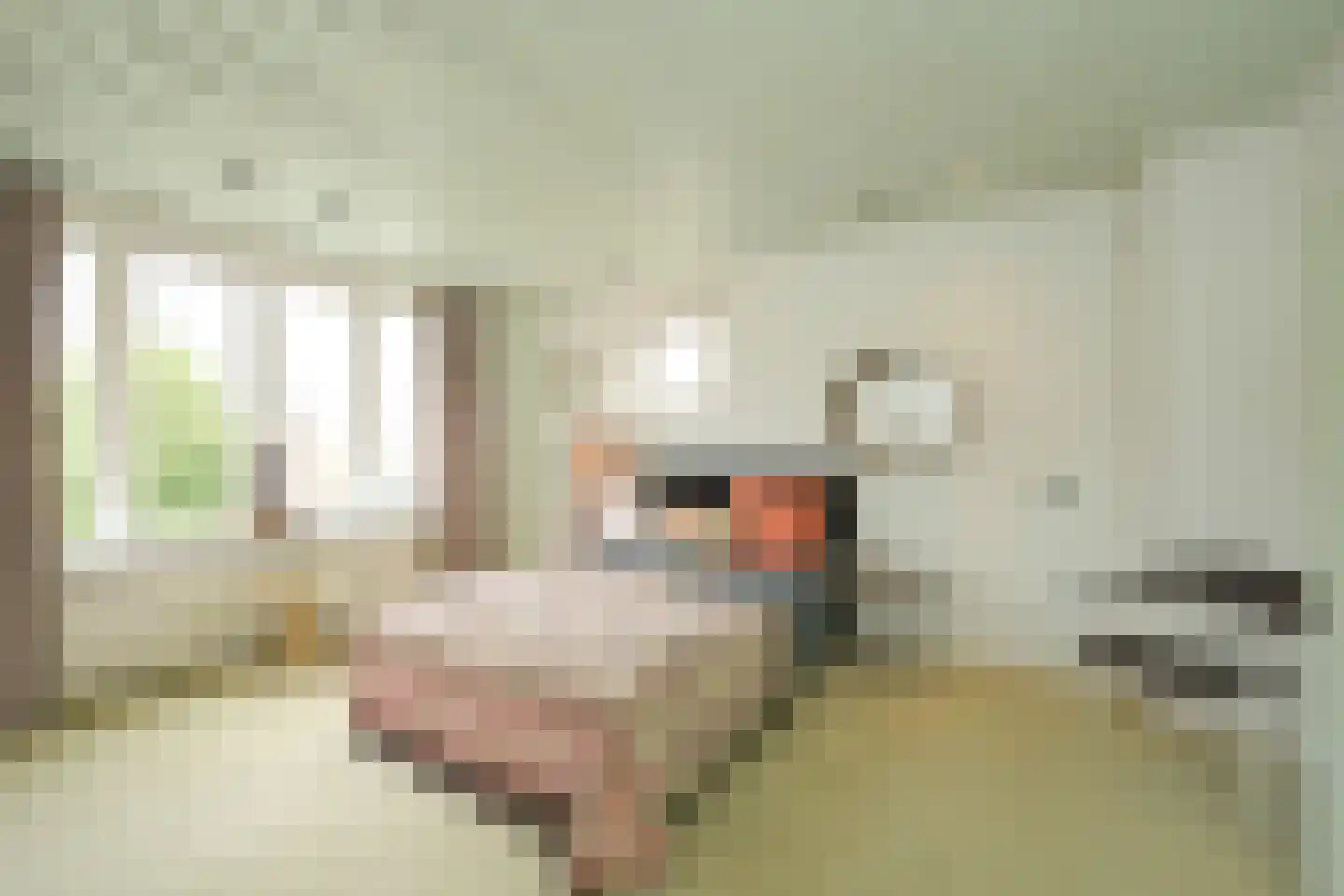 Jonkerlaan 8 Wassenaar thumbnail 13