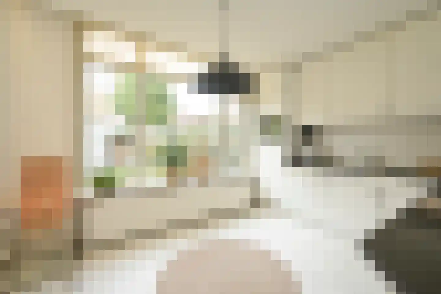 Jonkerlaan 8 Wassenaar thumbnail 8