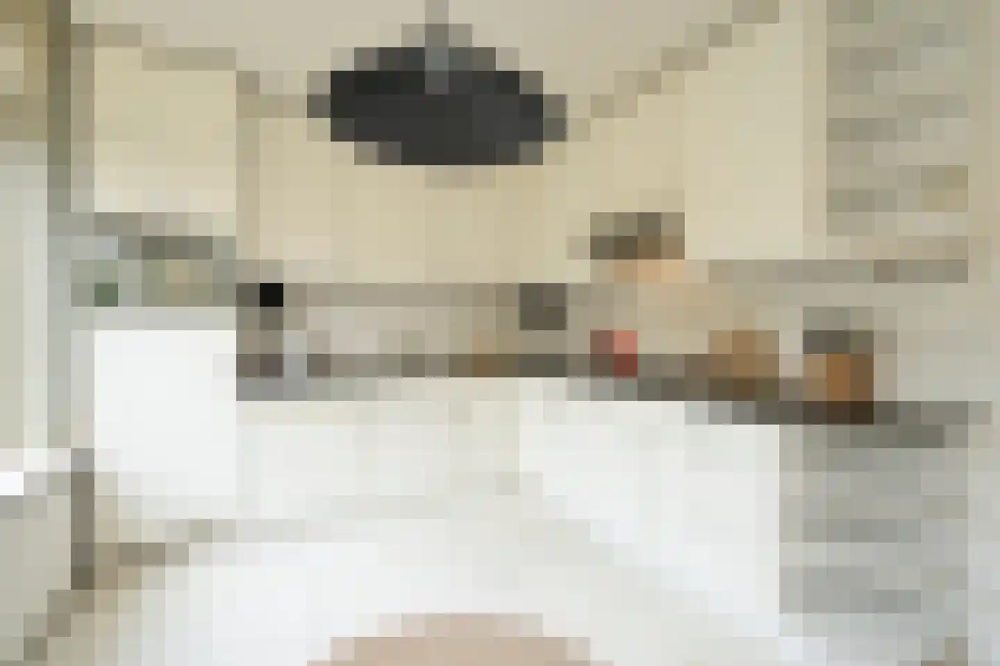 Jonkerlaan 8 Wassenaar thumbnail 9