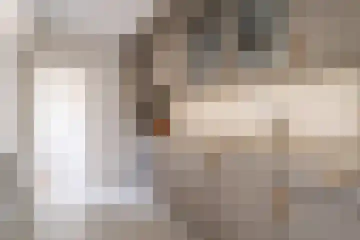 Jonkerlaantje 10 Edam thumbnail 11