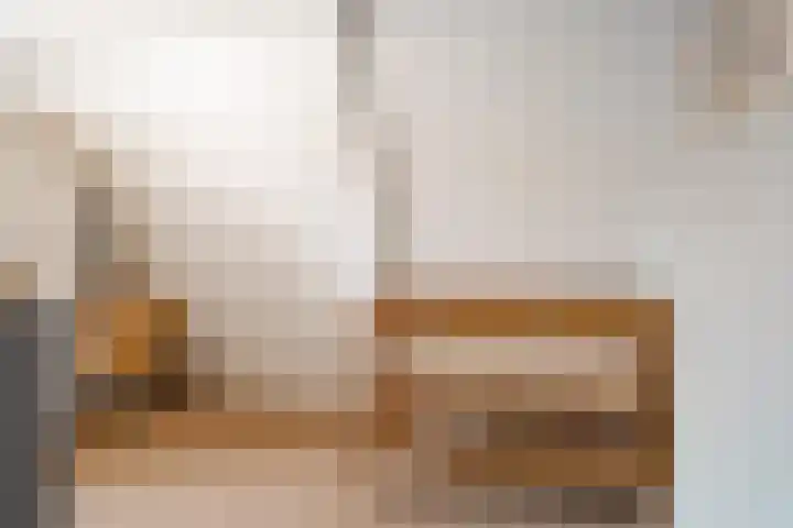 Jonkerlaantje 10 Edam thumbnail 18