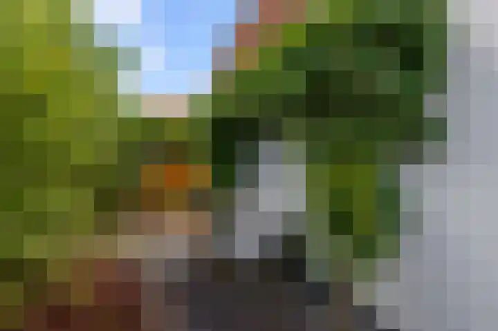 Jonkerlaantje 10 Edam foto 2