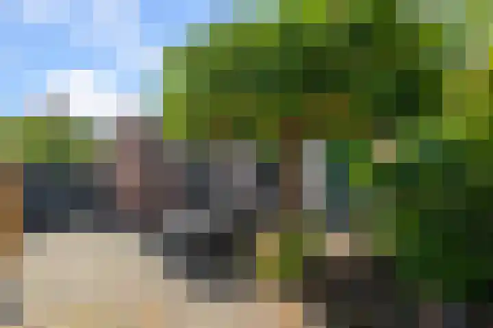 Jonkerlaantje 10 Edam thumbnail 23