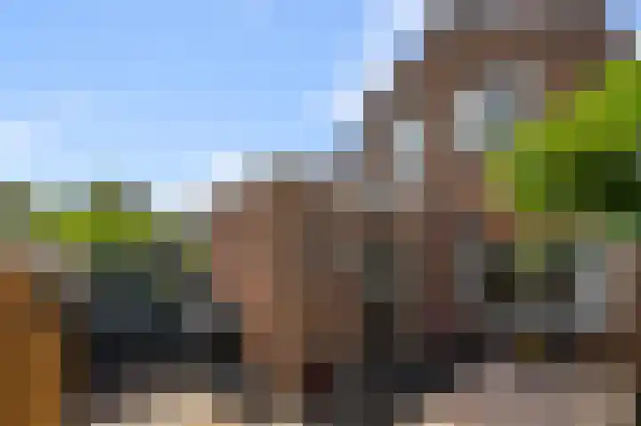 Jonkerlaantje 10 Edam thumbnail 24