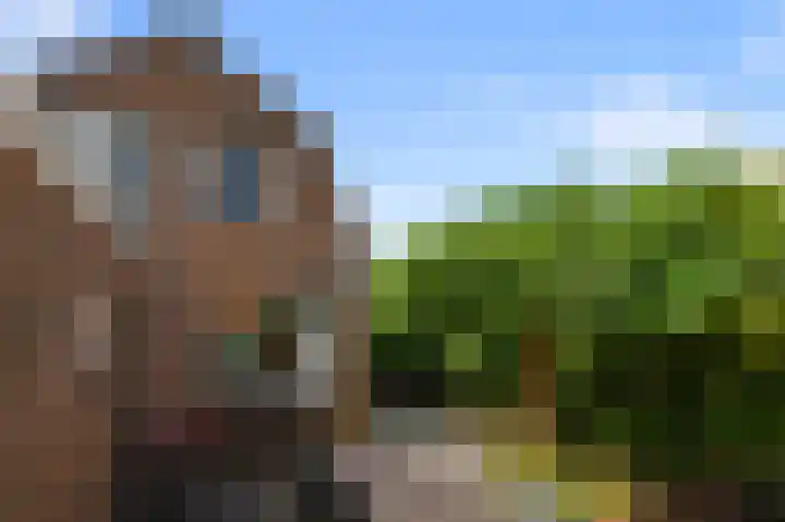 Jonkerlaantje 10 Edam thumbnail 25