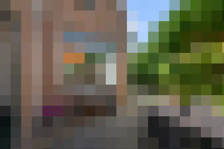 Jonkerlaantje 10 Edam thumbnail 26