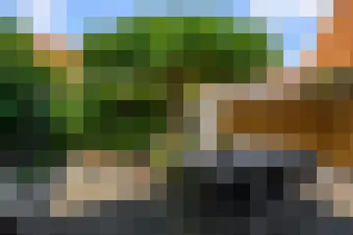 Jonkerlaantje 10 Edam thumbnail 27