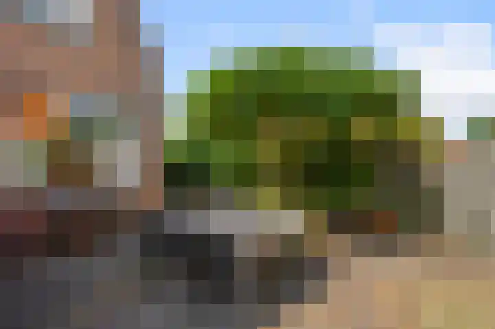 Jonkerlaantje 10 Edam thumbnail 28