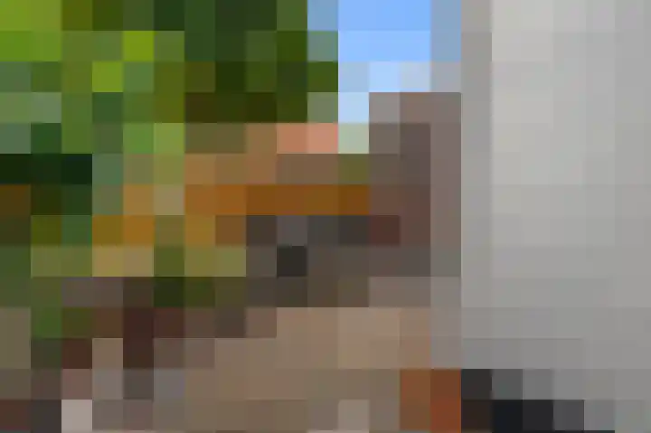 Jonkerlaantje 10 Edam thumbnail 29
