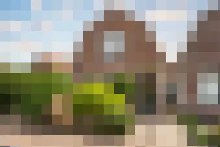 Jonkerlaantje 10 Edam thumbnail 32