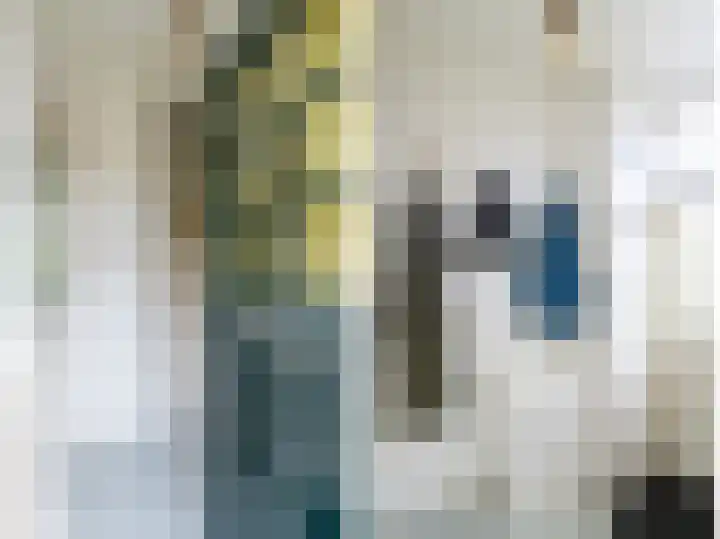 Jonkerlaantje 10 Edam thumbnail 5