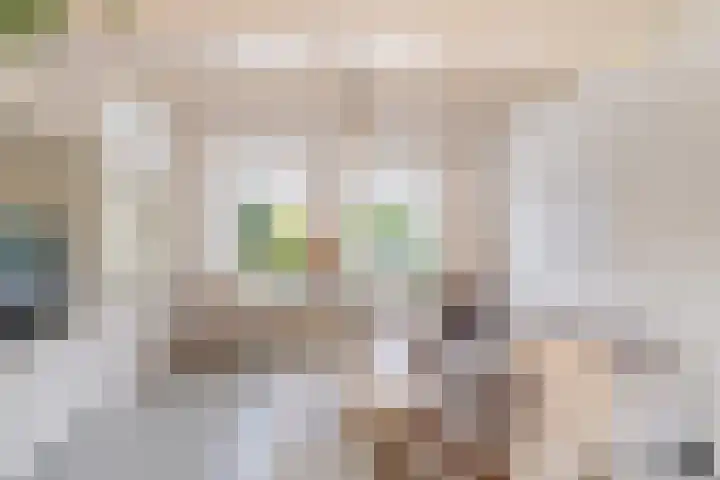 Jonkerlaantje 10 Edam thumbnail 6