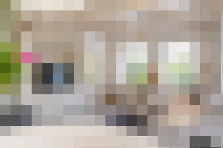 Jonkerlaantje 10 Edam thumbnail 7