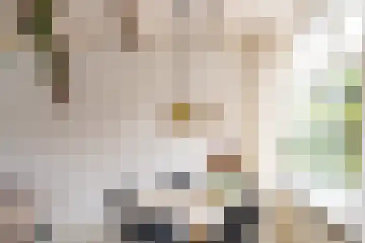 Jonkerlaantje 10 Edam thumbnail 8