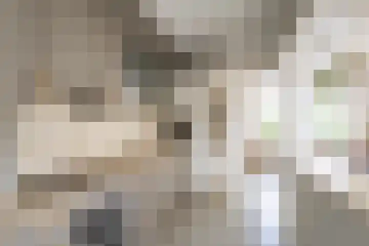 Jonkerlaantje 10 Edam thumbnail 9
