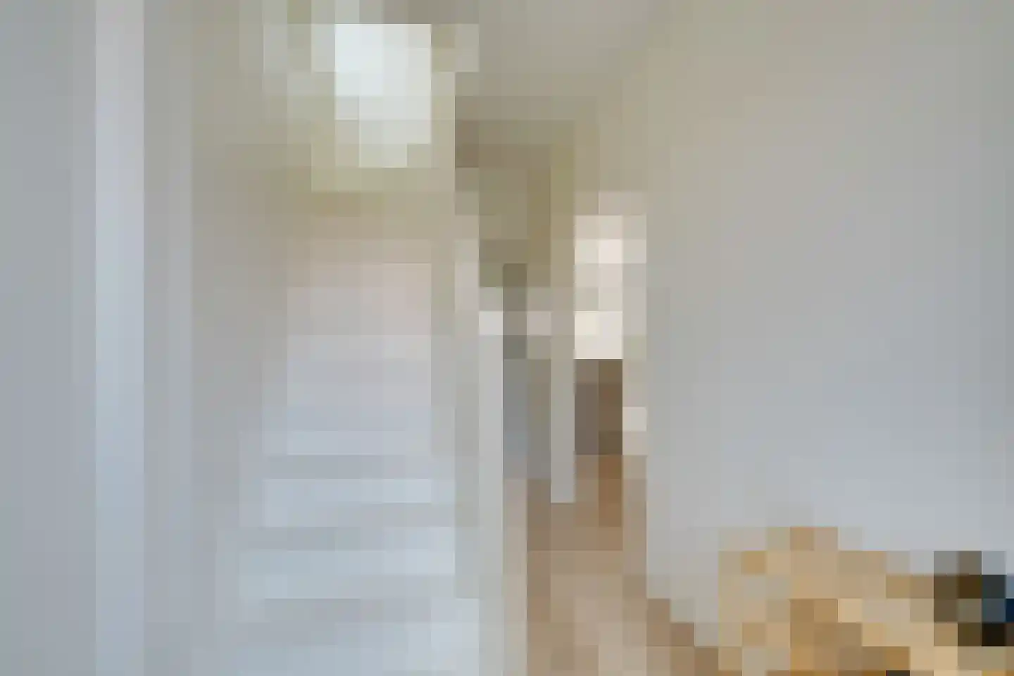 Jonkerlaantje 24 Edam thumbnail 10