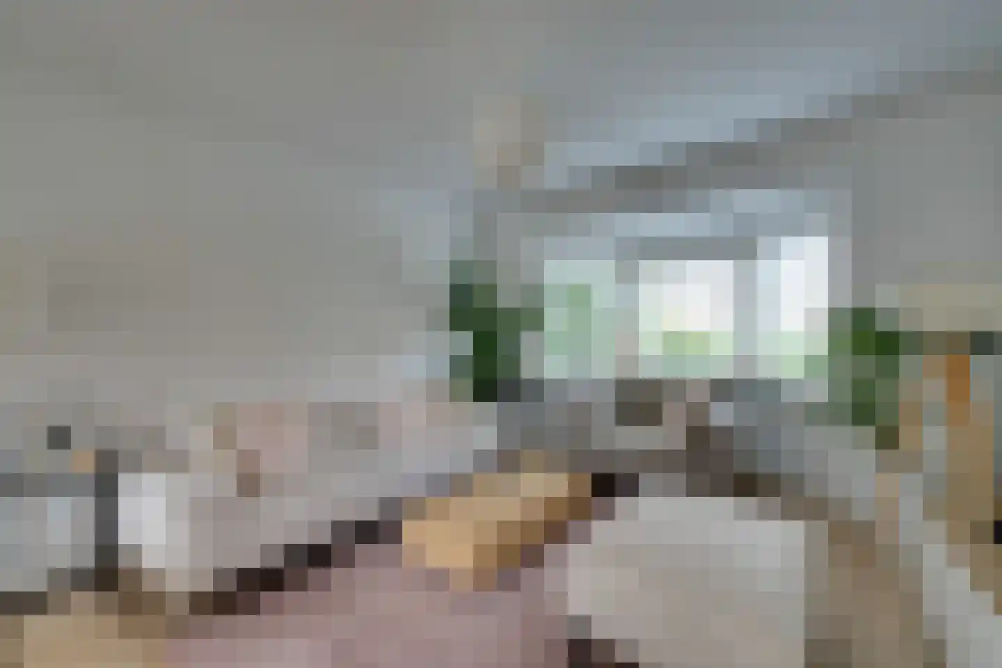 Jonkerlaantje 24 Edam thumbnail 12